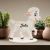 Photoroom-20240302_161927.png