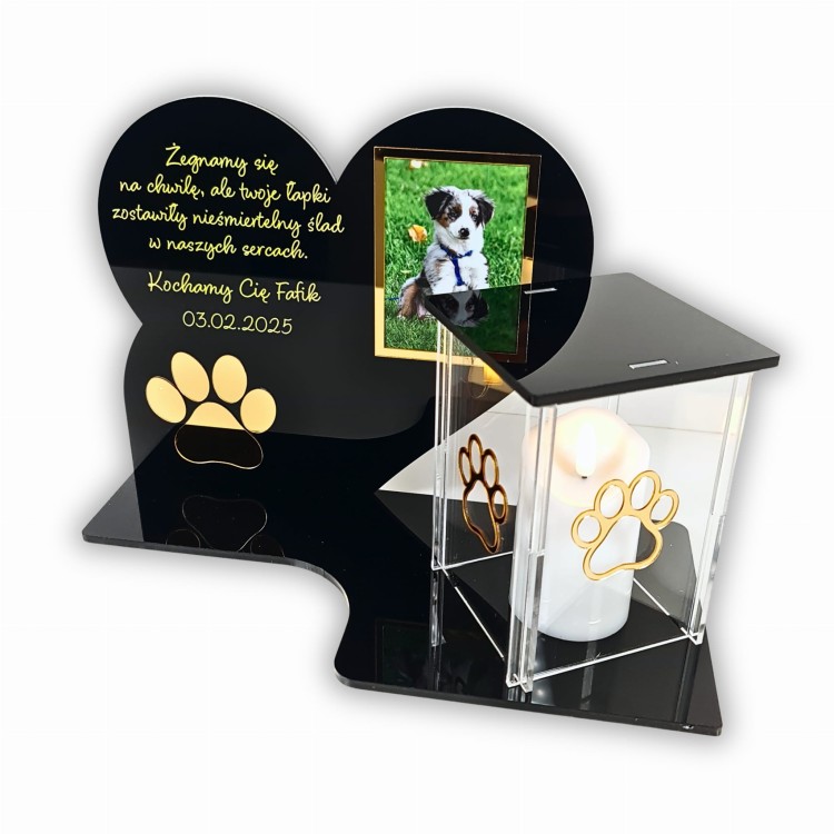 znicz dla pupila.jpg