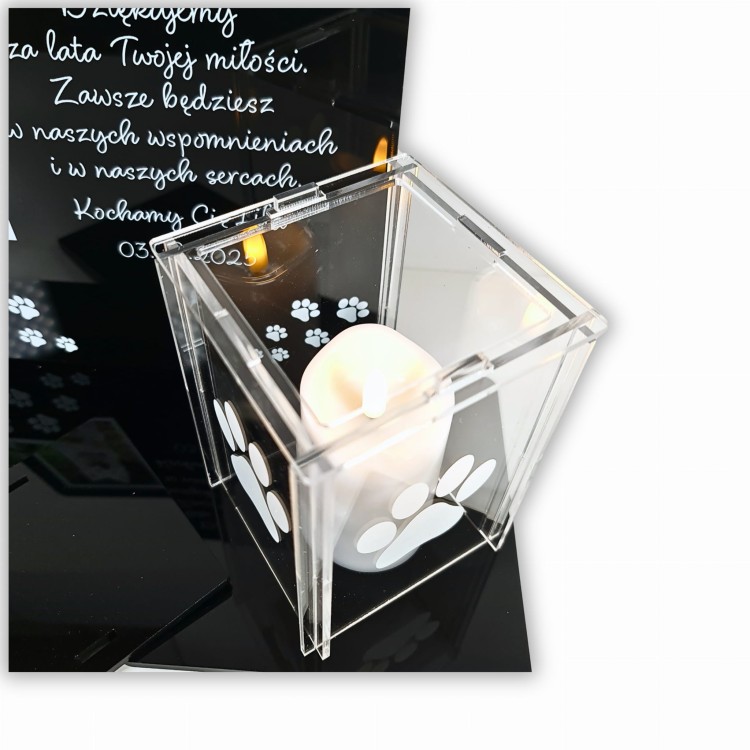 Lampka dla pieska.jpg