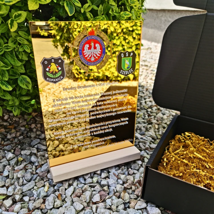 Podziękowanie statuetka na złotej plexi.webp